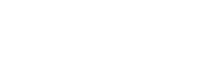 Service Web IT